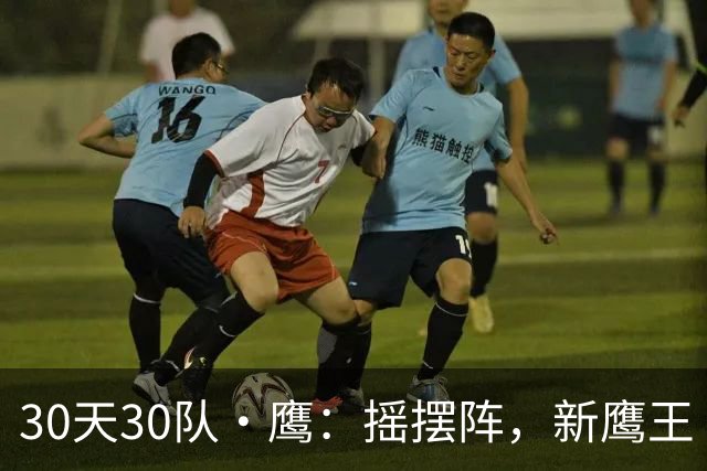 30天30队·鹰：摇摆阵，新鹰王